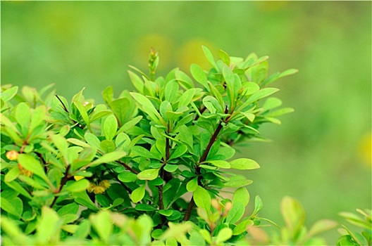 全球掀起工業(yè)物聯(lián)網(wǎng) 四大特點助發(fā)展