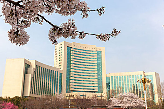 國(guó)務(wù)院國(guó)資委召開中央企業(yè)今冬明春保暖保供工作專題會(huì)